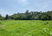 House with land for sale on España, Ribadesella, ref: TR294527 photo