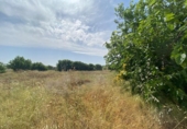 Casa de pueblo en venta en la España, Moratalla, ref: TR345069 foto