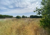 Casa de pueblo en venta en la España, Moratalla, ref: TR345069 foto