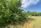 Casa de pueblo en venta en la España, Moratalla, ref: TR345069 foto