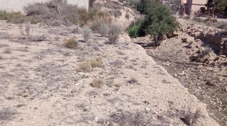 Alicante - Mutxamel - 2500m2