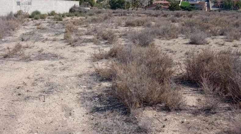 Alicante - Mutxamel - 2500m2