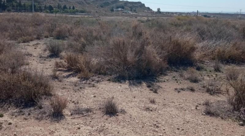Alicante - Mutxamel - 2500m2