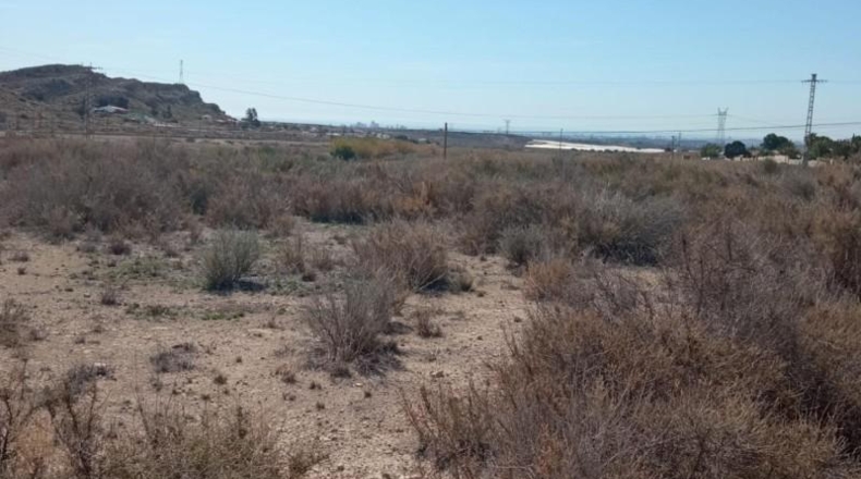 Alicante - Mutxamel - 2500m2
