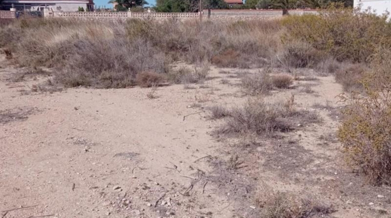 Alicante - Mutxamel - 2500m2
