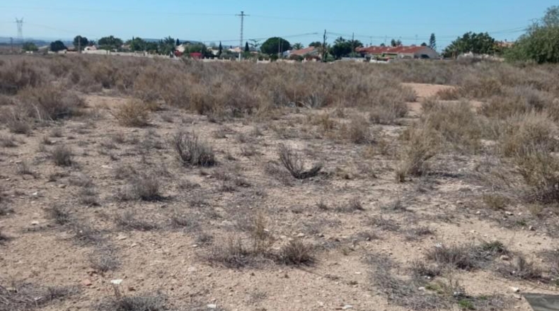 Alicante - Mutxamel - 2500m2