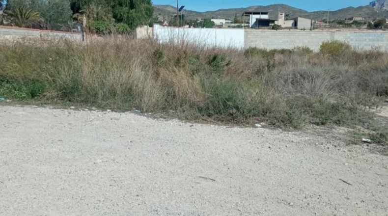 Alicante - Mutxamel - 2500m2