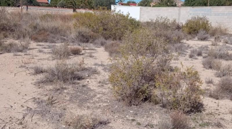Alicante - Mutxamel - 2500m2