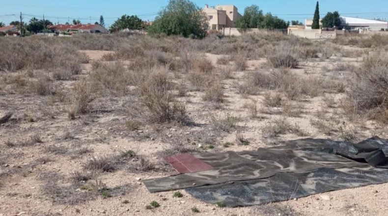 Alicante - Mutxamel - 2500m2