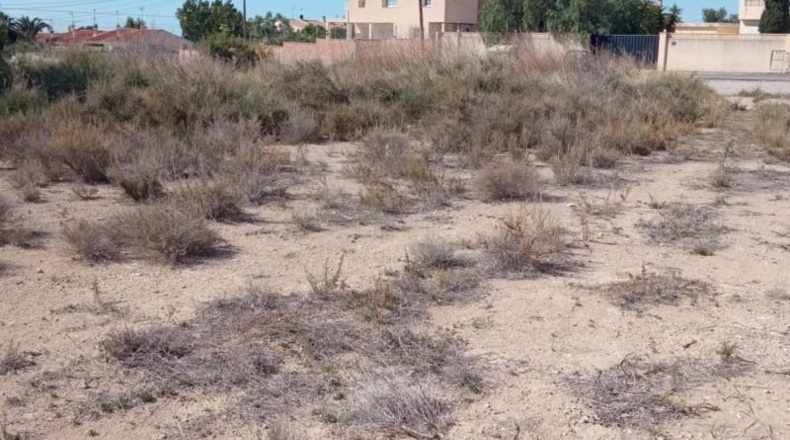 Alicante - Mutxamel - 2500m2