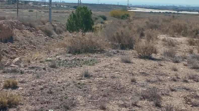 Alicante - Mutxamel - 2500m2