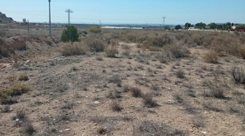 Alicante - Mutxamel - 2500m2