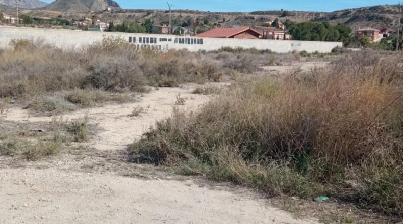 Alicante - Mutxamel - 2500m2