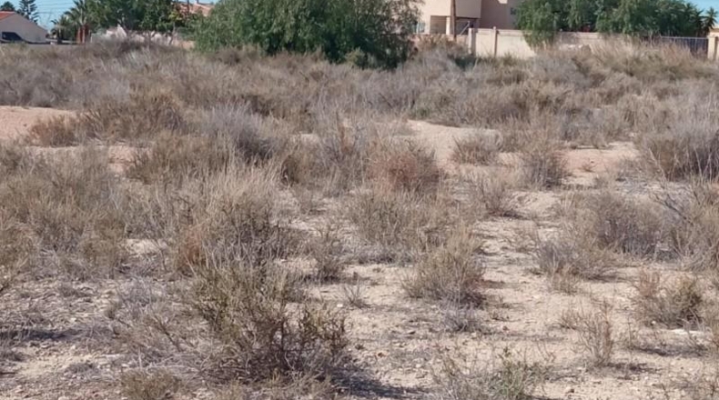 Alicante - Mutxamel - 2500m2