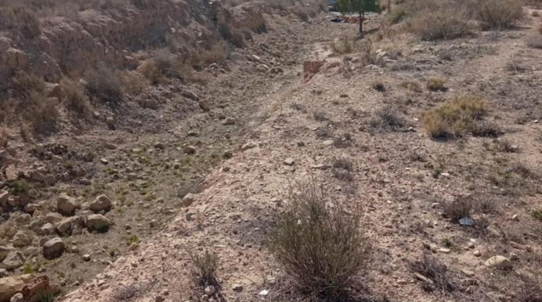 Alicante - Mutxamel - 2500m2