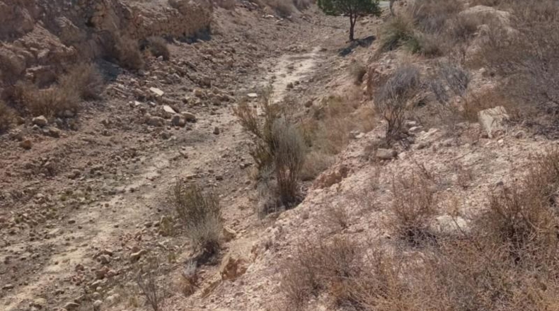 Alicante - Mutxamel - 2500m2