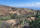 Non-developable land for sale on España, Villa de Arico, ref: TR314722 photo