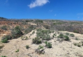 Non-developable land for sale on España, Villa de Arico, ref: TR314722 photo