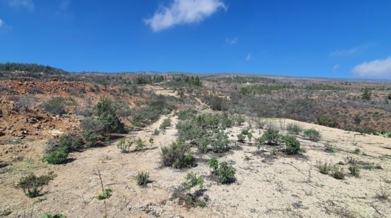 Santa Cruz de Tenerife - La Cisnera - 34294m2