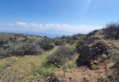 Non-developable land for sale on España, Villa de Arico, ref: TR314722 photo