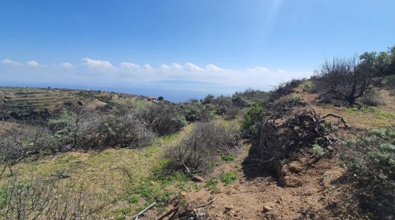 Santa Cruz de Tenerife - La Cisnera - 34294m2
