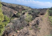 Non-developable land for sale on España, Villa de Arico, ref: TR314722 photo