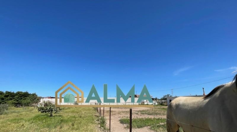 Cádiz - Los Barrios - 1100m2