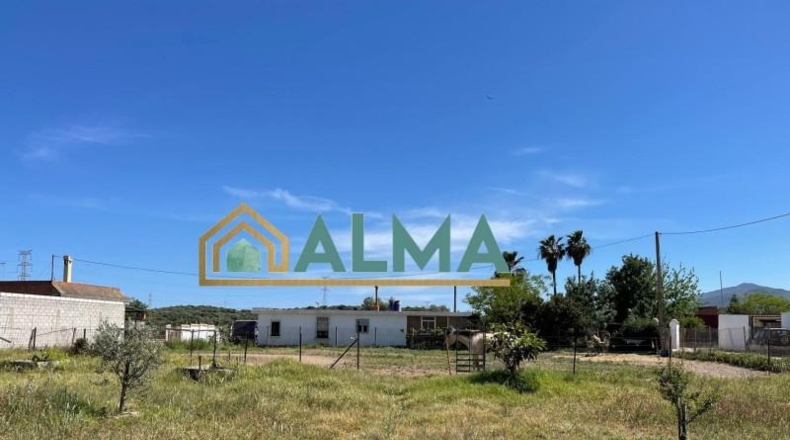 Cádiz - Los Barrios - 1100m2