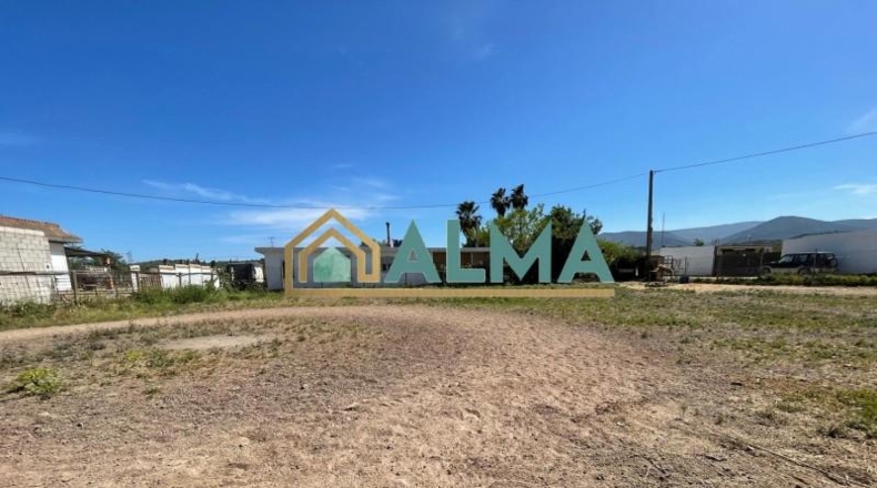 Cádiz - Los Barrios - 1100m2