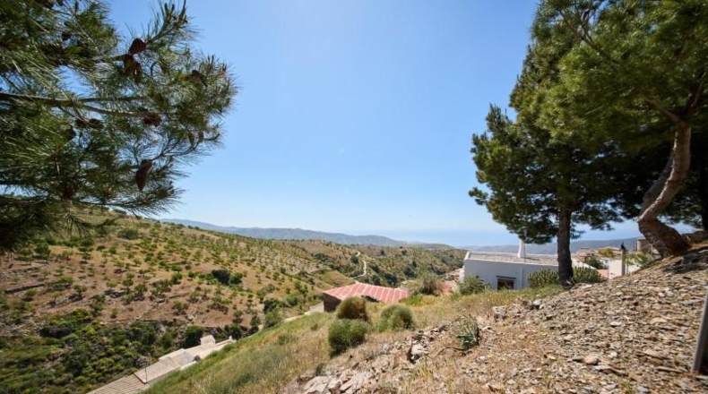 Granada - Albondón - 8100m2