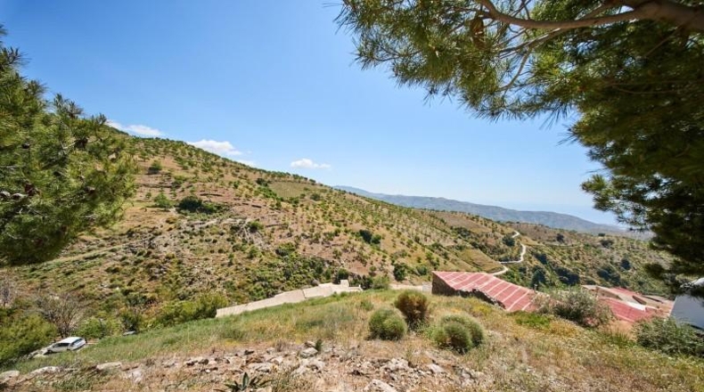 Granada - Albondón - 8100m2