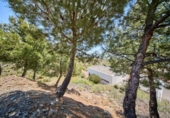 Urban land for sale on España, Albondón, ref: TR281527 photo