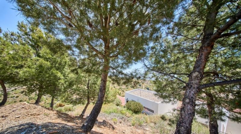 Granada - Albondón - 8100m2