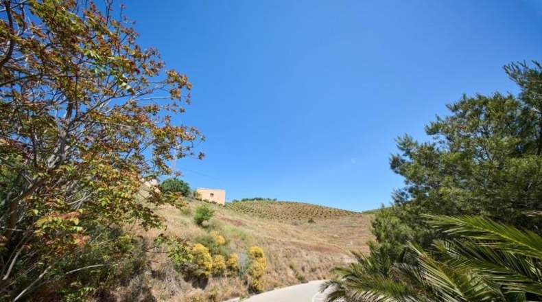 Granada - Albondón - 8100m2