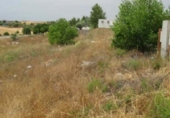 Sòl urbà en venda a la España, Tórtola de Henares, ref.: TR244631 foto