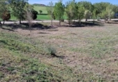 Sòl urbà en venda a la España, Tórtola de Henares, ref.: TR244631 foto