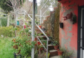 Casa de camp amb terreny en venda a la España, O Carboal, ref.: TR299745 foto