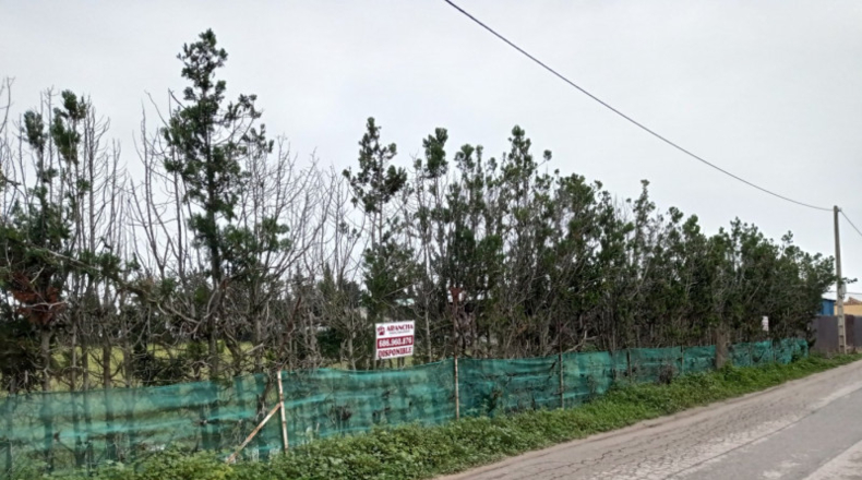 Cádiz - Chipiona - 2500m2
