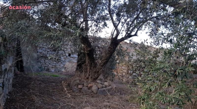 Cordova - Pozoblanco - 371m2