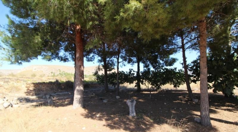 Alicante - la Romana - 15000m2