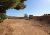 Terreny no urbanitzable en venda a la España, la Romana, ref.: TR119693 foto