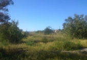 Land suitable for development for sale on España, Lorca, ref: TR115939 photo