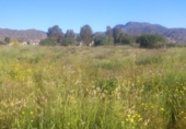 Land suitable for development for sale on España, Lorca, ref: TR115939 photo