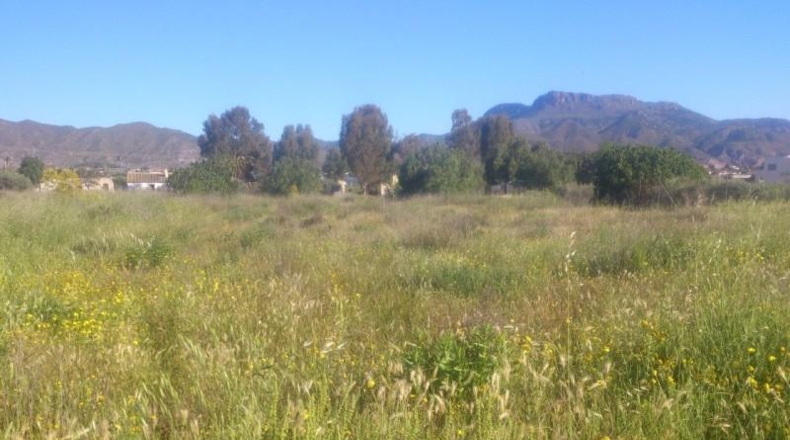 Múrcia - Lorca - 9921m2