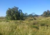 Land suitable for development for sale on España, Lorca, ref: TR115939 photo