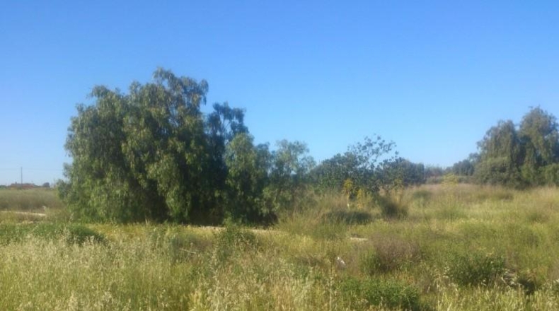 Múrcia - Lorca - 9921m2