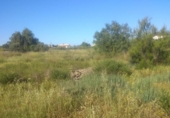 Land suitable for development for sale on España, Lorca, ref: TR115939 photo