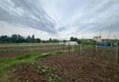 Terreny no urbanitzable en venda a la España, Urroz-Villa, ref.: TR248260 foto