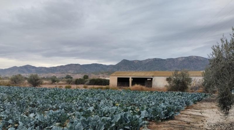 Murcia - Lorca - 5500m2