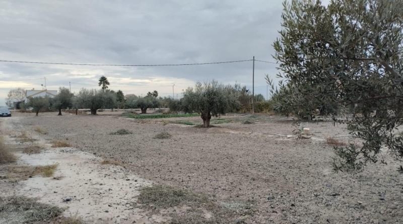 Murcia - Lorca - 5500m2